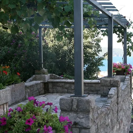 Apartman Cucuk Budva