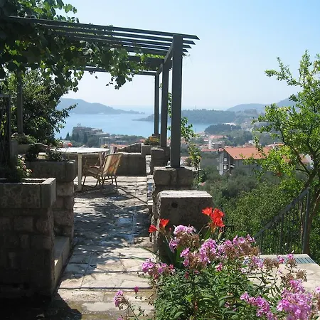 Cucuk Budva